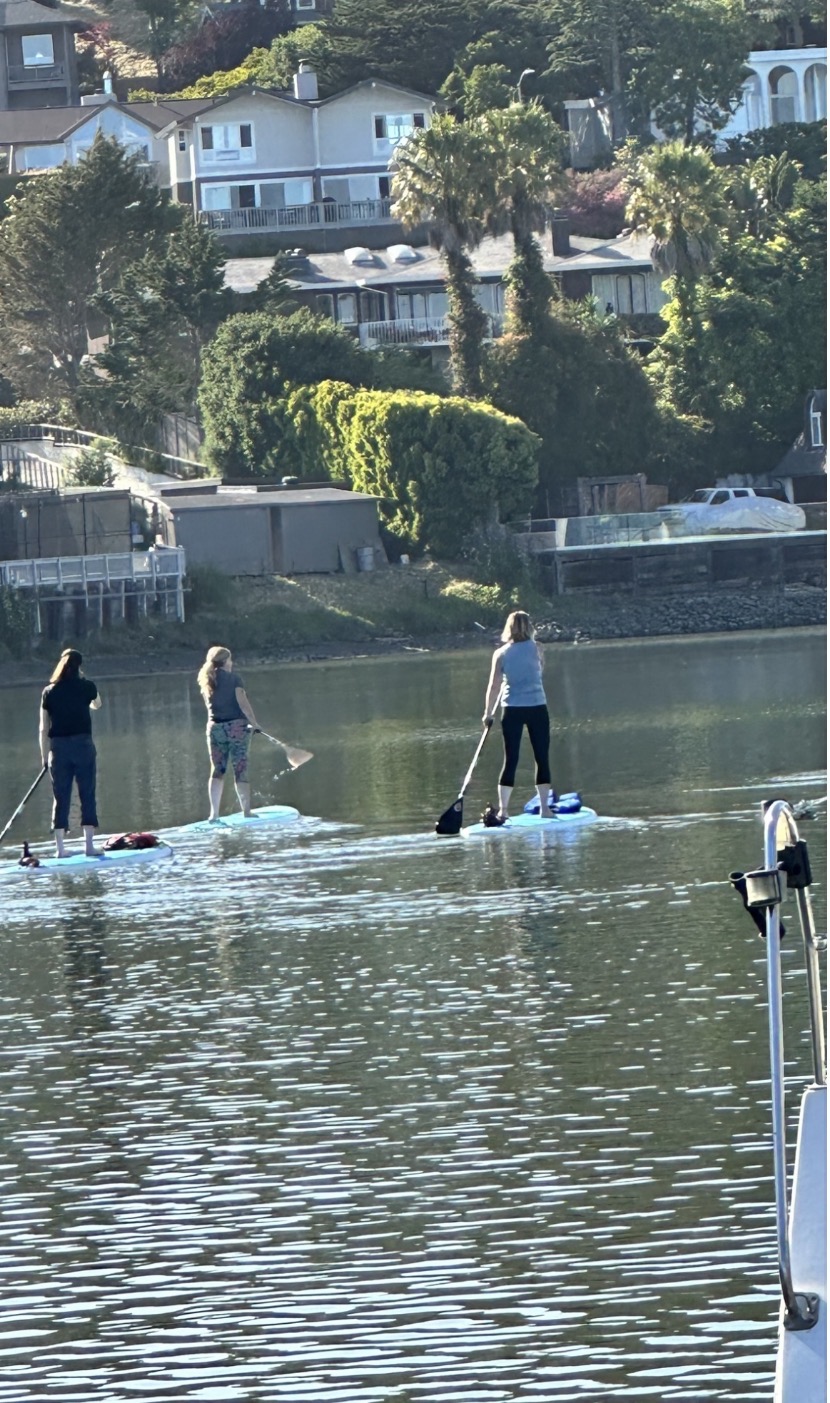 Three paddlers gliding past waterfront homes