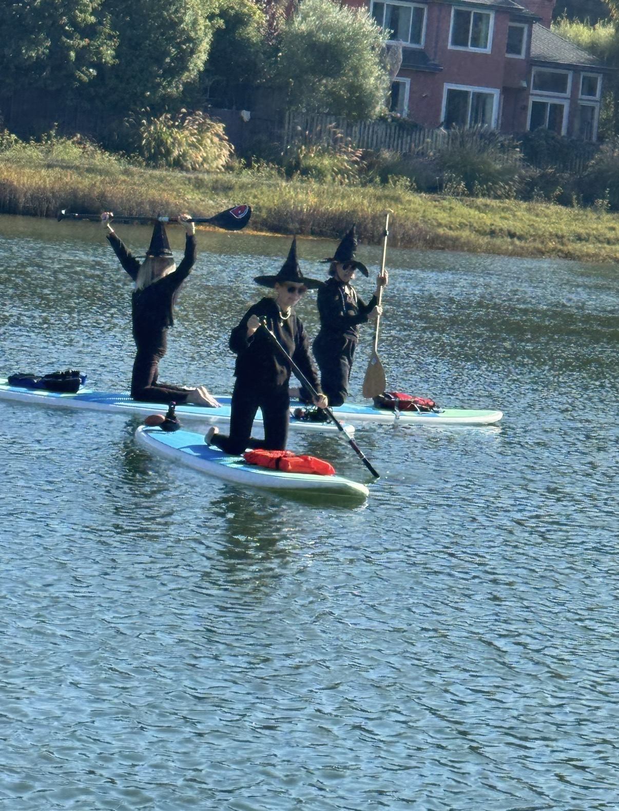 Halloween witch paddle